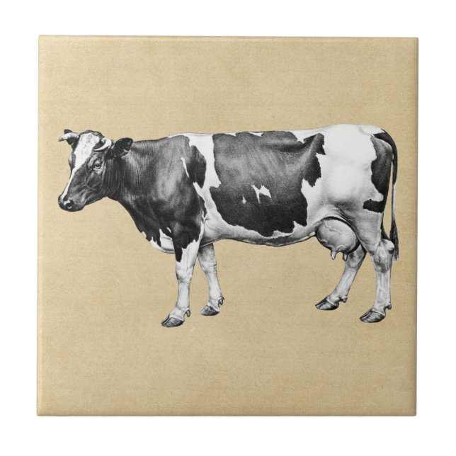 Dairy Cow Sepia Tile (Front)
