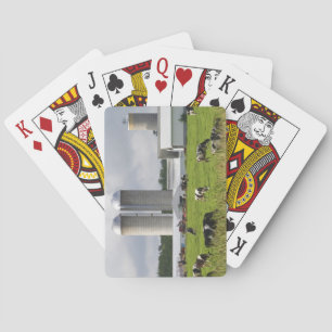 Dairy cows and farm near Taylor County 2 Playing Cards