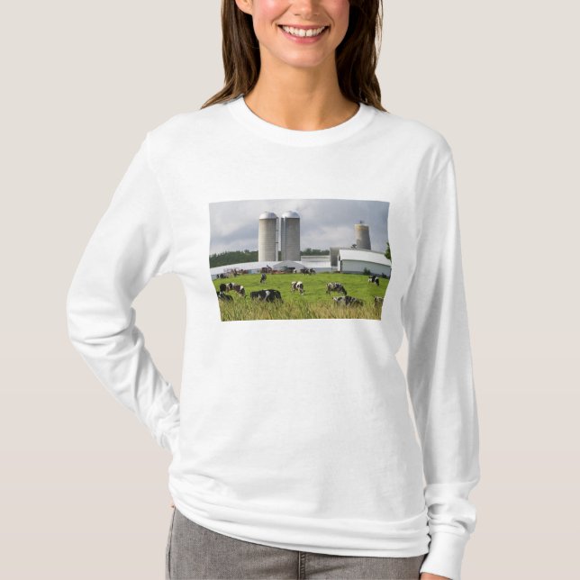 Dairy cows and farm near Taylor County T-Shirt (Front)