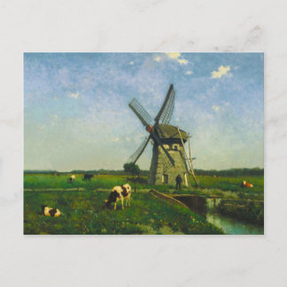 Dairy cows grazing by a windmill postcard