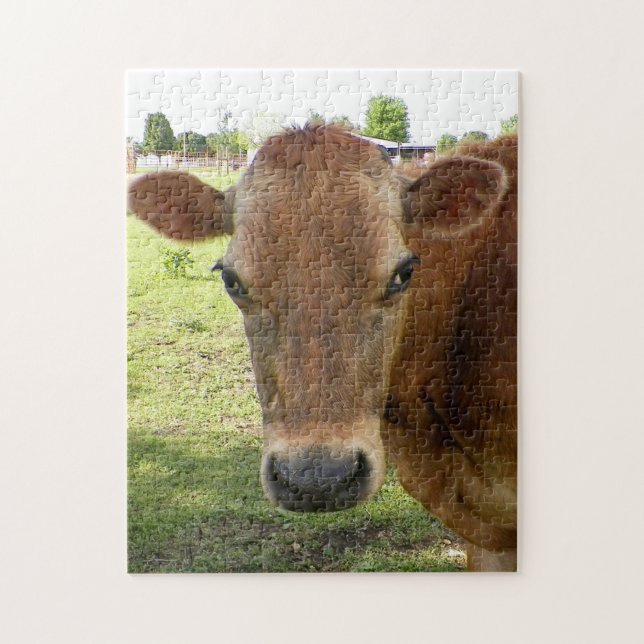 Dairy Expert - Puzzle (Vertical)