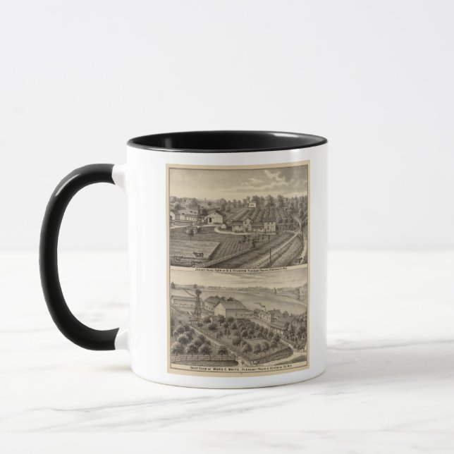 Dairy farms of RS Houston and WC White Mug (Left)