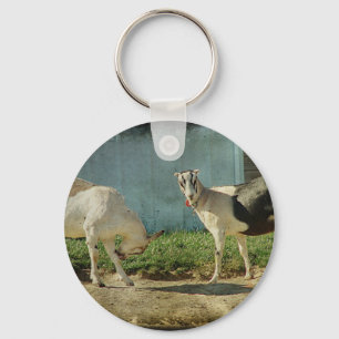 Dairy Goats Key Ring