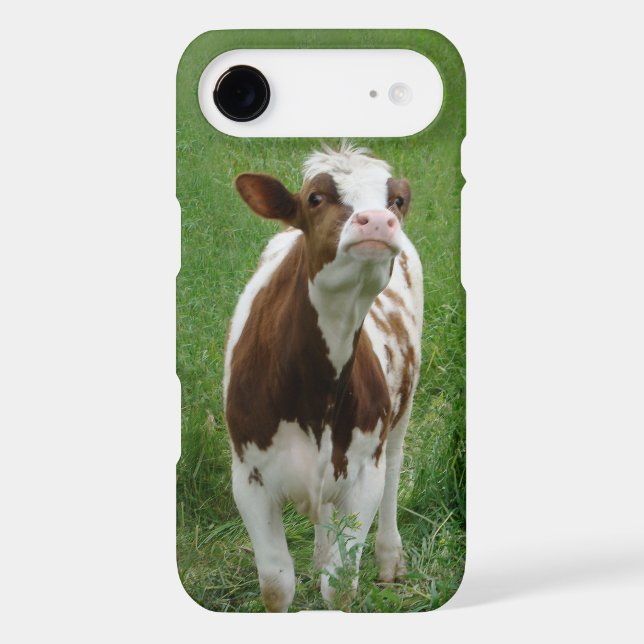 Dairy Milk Cow on the Farm (Back)