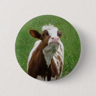 Dairy Milk Cow on the Farm 6 Cm Round Badge