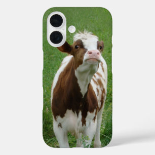 Dairy Milk Cow on the Farm iPhone 16 Case