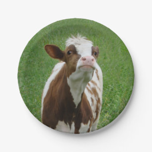 Dairy Milk Cow on the Farm Paper Plate