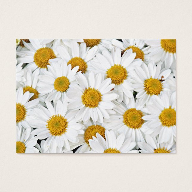 Daisies (Front)