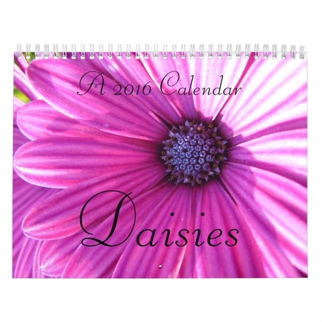 Daisies 2016 calendar (Cover)
