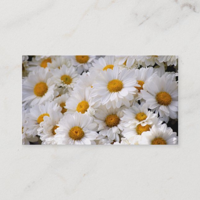 Daisies Abound [Business] Business Card (Front)