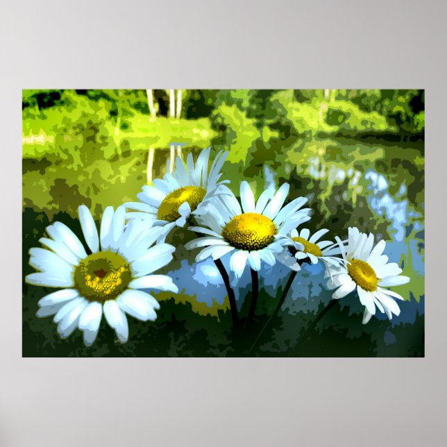 Daisies at the Pond Poster (Front)