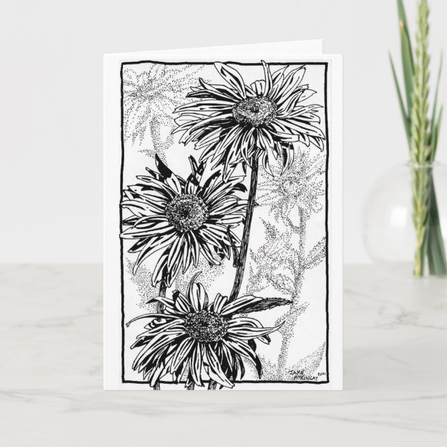 Daisies, black+white, on folded card (Front)