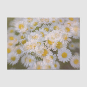 Daisies Bunch White Print Floral Decoupage Tissue Paper