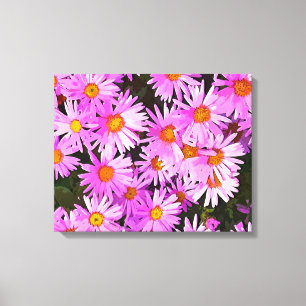 DAISIES CANVAS PRINT