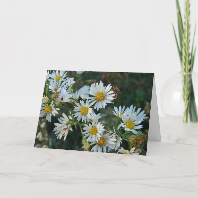 Daisies Card (Front)