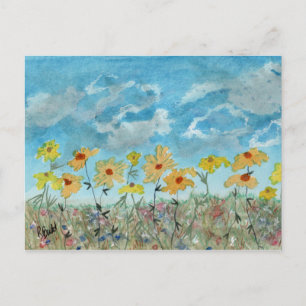 Daisies & Clouds Postcard