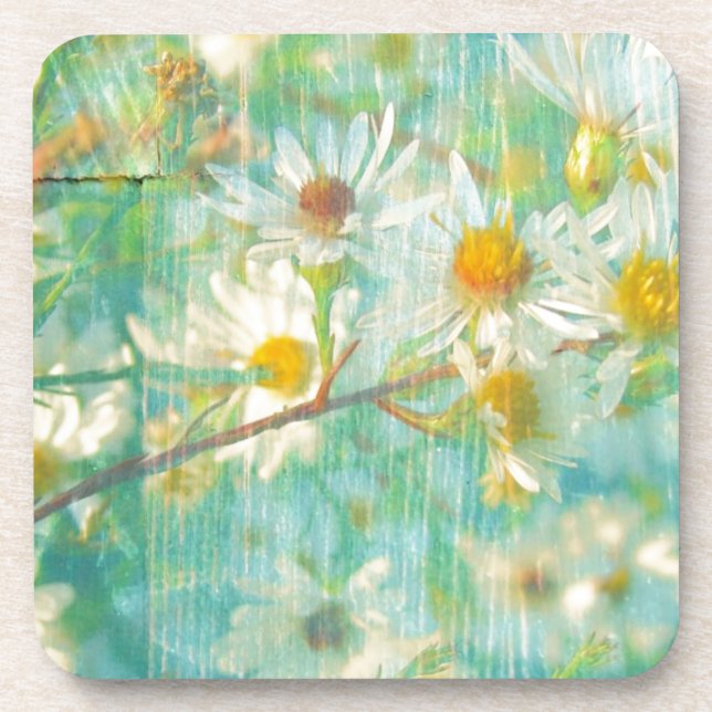 Daisies Coaster (Front)