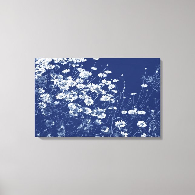 Daisies - Cyanotype Effect Canvas Print (Front)