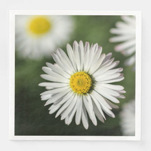 Daisies Floral Photography Napkin