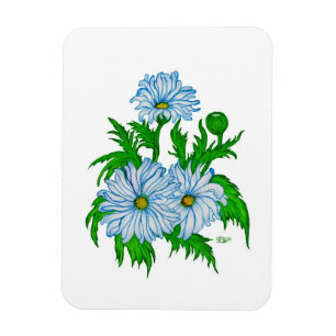 Daisies flowers magnet
