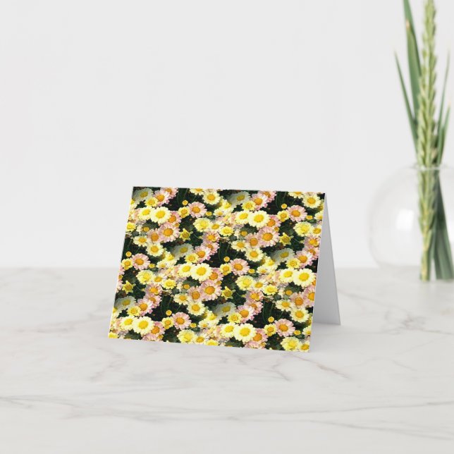 Daisies Galore...... Card (Front)