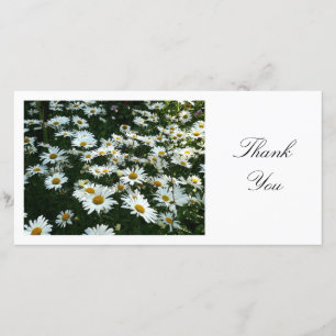 Daisies II - Thank You Card