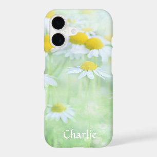 Daisies in a Field