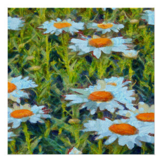 Daisies In A Garden Flowerbed Floral Art Poster
