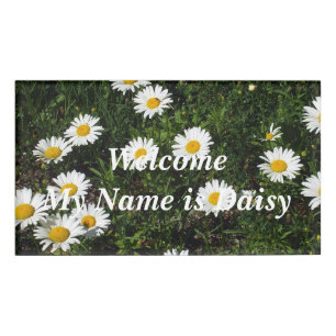 Daisies in Field Name Tag