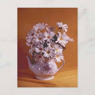 Daisies In Teapot PostCard