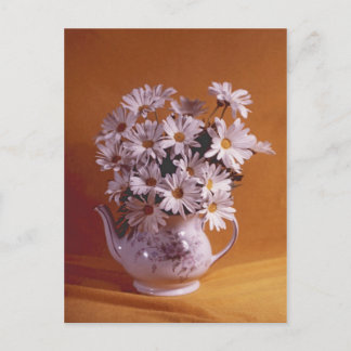Daisies In Teapot PostCard