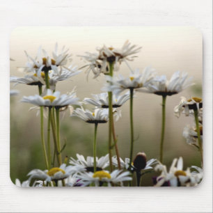 Daisies In The Fog Mouse Pad