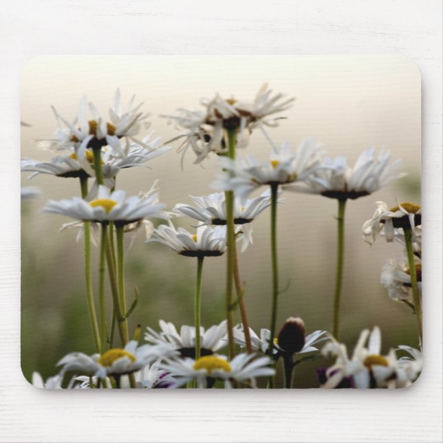 Daisies In The Fog Mouse Pad (Front)