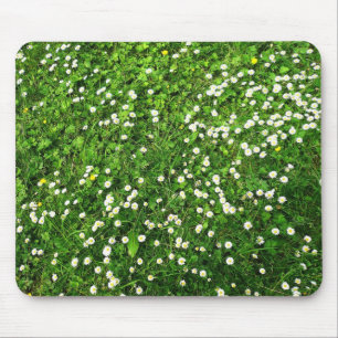 Daisies in the Grass Mouse Pad