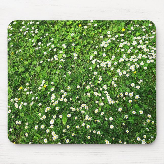 Daisies in the Grass Mouse Pad (Front)