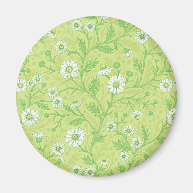 Daisies in white and green on honey dew green magnet (Front)