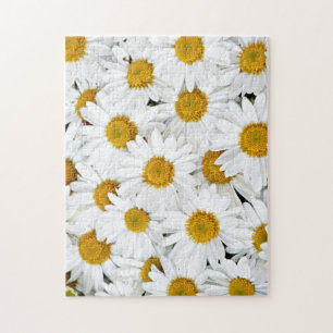 Daisies Jigsaw Puzzle