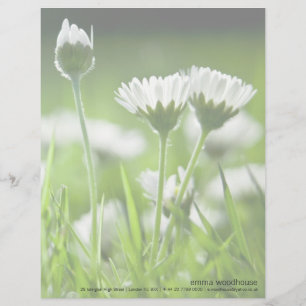 Daisies Letterhead