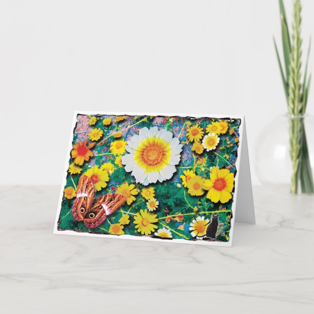 Daisies May Greeting Card (Front)
