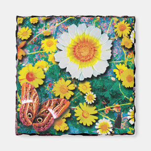 Daisies May Magnet