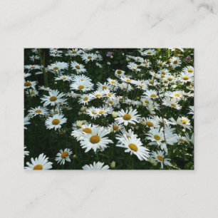 Daisies, Mini Photo Card