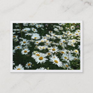 Daisies, Mini Photo Card