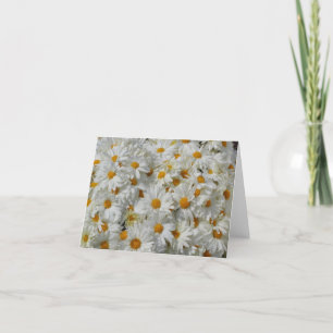 Daisies Notecard