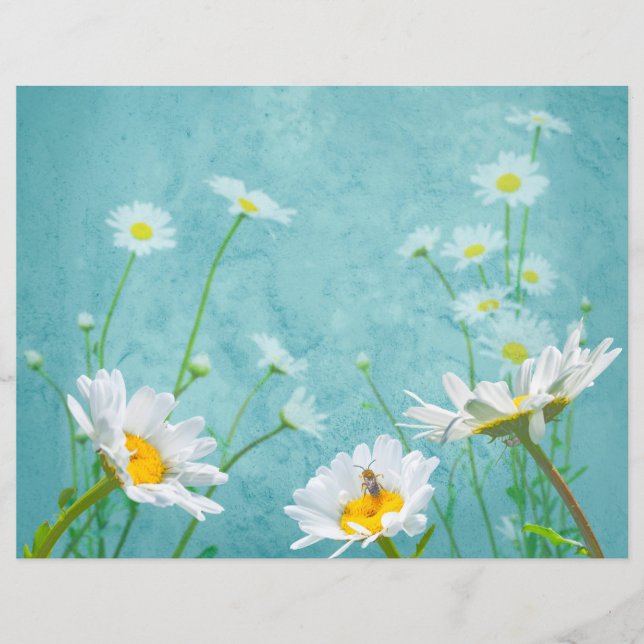 Daisies on a blue background (Front)