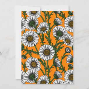 Daisies on orange