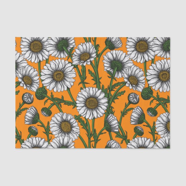 Daisies on orange tissue paper (Front)