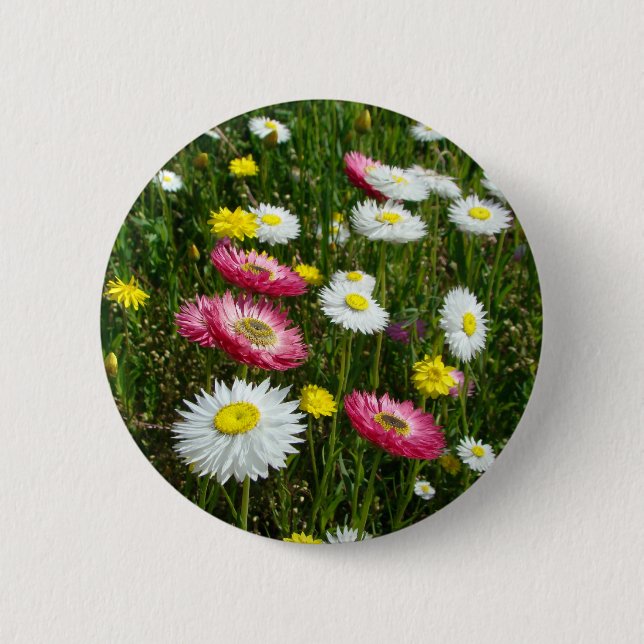 Daisies Patch 6 Cm Round Badge (Front)
