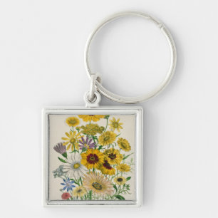 Daisies, plate 31 from 'The Ladies' Key Ring