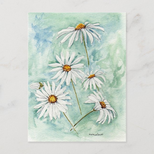 'Daisies' Postcard (Front)