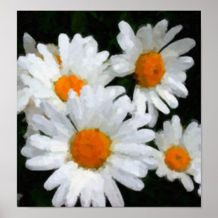 Daisies Poster